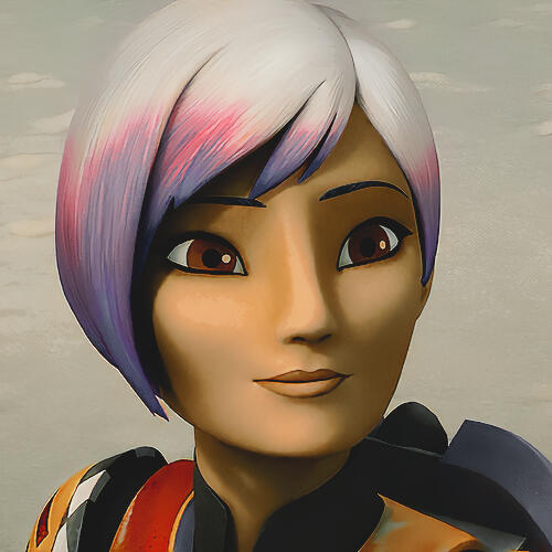 SABINE WREN